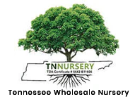Wholesale Nursery Co
